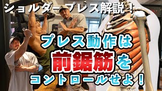 【筋トレ解説】ショルダープレスで的確に肩へ効かせる方法と補助種目を伝授します！【三角筋】【前鋸筋】