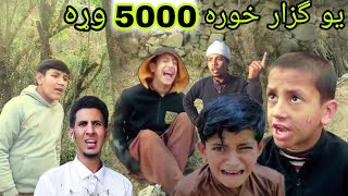 ऐक डंडा काउ 5000 लिजाओ || पश्तो नया मजेदार वीडियो || टोरो लताएँ