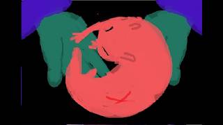 blame me - rain world pmv
