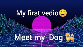 Meet My Dog 🐕 For the First time My First Vedio                                       #viral#funny#