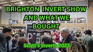 Invert show UK, Brighton invert show and  what we bought  #invertshow