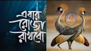 এবার রোজা রাখবো। রমজানের সেরা গজল।best gojol. new gojol. Islamic songs. Bangla Naat. Notun nasid.ubm