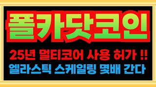 ⭐️폴카닷 코인전망⭐️25년 로드맵 대공개 미친 상승타점 !! 고점은 제일 높네요