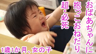 おばあちゃんに抱っこをねだる赤ちゃん（1歳1か月、女の子）でも、おばあちゃんは、今は抱っこできない