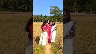 #ആരുടെയൊക്കെയോആരൊക്കെയോ#shortsfeed#music#uthralikavu#vettomfilimong#songoftheday#nature