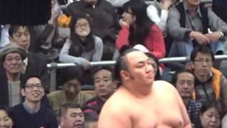 琴勇輝　VS　妙義龍　2016年3月26日　14日目　大相撲3月場所（大阪場所）