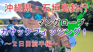 Kayak fishing in the mangrove of Ishigaki Island, Okinawa Prefecture! [First half of the second day]