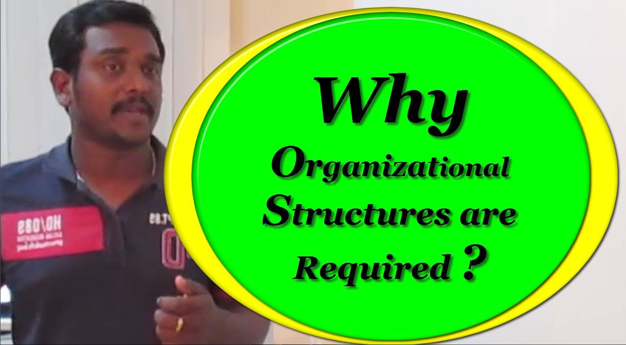 Organizational Structures Youtube