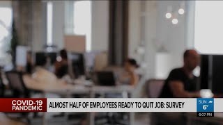 Almost half of employees ready to quit job: survey