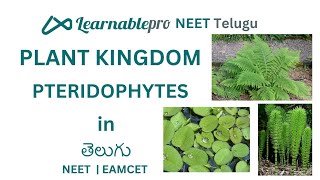 PLANT KINGDOM - PTERIDOPHYTES  EXPLAINED in Telugu|Learnablepro NEET Telugu| #neet2025 #eapcet