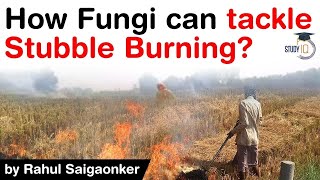 Solution for Stubble Burning - How Fungi can tackle stubble burning menace? #UPSC #IAS