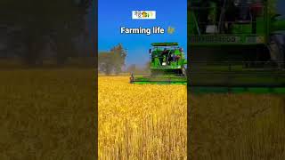 #farming life#farmer #royal farmer#harvesting videos