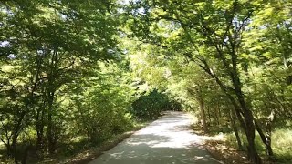 Nabran meşə yolu Forest #youtubevideo #nature