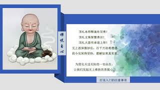 【禅悦自心】16打坐入门注意事项 #法师引导带修