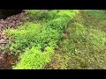 Willistown Township PA - subdivision stormwater management