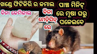 ବିନା ମେଡ଼ିସିନ୍ ରେ ମାତ୍ର ଖଣ୍ଡେ ଫିଟିକିରୀ ରେ ଘରୁ ମୂଷା ବାହାର କରିବା#tips \u0026 trick @SonykitchenVlog