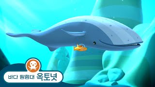 바다 탐험대 옥토넛 - 혼란에 빠진 대왕고래 🐋🐋 - 모음집