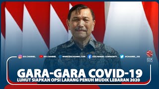 GARA-GARA COVID-19, LUHUT SIAPKAN OPSI LARANG PENUH MUDIK LEBARAN 2020