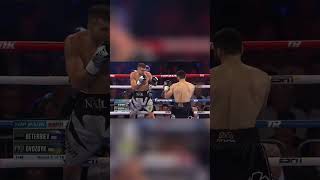 Epic 11th Round Knockout: WBC Light Heavyweight Title Win