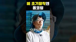 벼 초기 활착엔 누보 올코팅