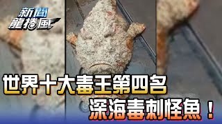 【完整版】2017.06.05世界十大毒王第四名　深海毒刺怪魚！《新聞龍捲風》