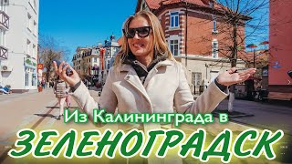 Что происходит в Зеленоградске? Сезон начался!