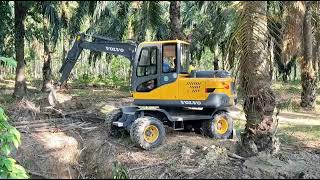 Daily Job in  Rubber Plantation Farm #excavator  #excavater