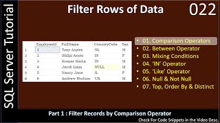 Filter Rows | Part 1 - Comparison Operators | SSMS TSQL Tutorial #022