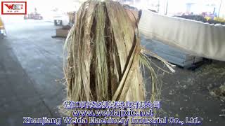 Hemp/Kenaf/Jute Automatic decorticator+ Fiber Brushing Machine+ Combing Machine