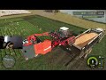 harvesting carrots raising wheat and cow care farming simulator 25