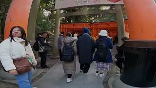 Introduction to the Senbon Torii of Fushimi Inari Taisha Shrine