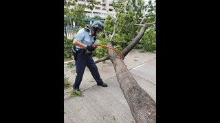 颱風山竹襲港的破壊力