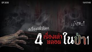 Ep.307 รวม4เรื่องเล่าในป่า การันตีความหลอน | เล่าผีคืนนี้