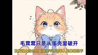 《完美橘猫》毛茸茸只是从蛋壳里破开，散发的强大治愈力瞬间抚平帝国军人的暴躁因子，而这代表橘猫一族出现了，一位精神力极高的小女孩！#漫画解说 #漫画