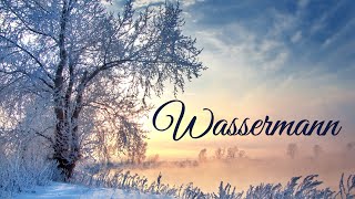 👉 Eine großartige Veränderung steht bevor  💫 #Wassermann ♒️ #Februar #2025