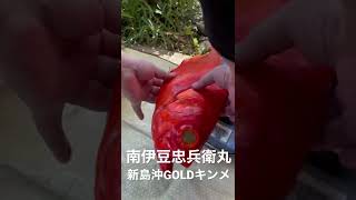 【南伊豆忠兵衛丸】新島沖GOLDキンメ#shorts