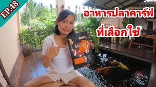 EP.48 อาหารปลาคาร์ฟที่บ้านป้องหมีใช้