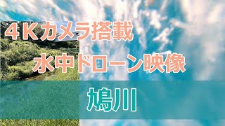 水中ドローンで探索　鳩川【CHASING　M2】撮影映像