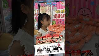 話題のエブリデイ新店舗「とれトレ屋桶川店」で先行体験入店クレーンゲーム三昧⑨ #shorts