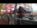 seoulmysoul ep.11 autumn in nami island livingabroad seoul namiisland autumnvibe