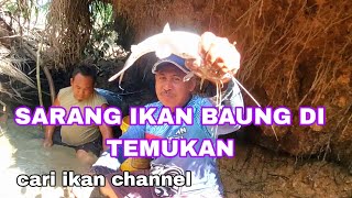 PUNCAK KEBAHAGIAN BAGI KAMI KETIKA KAMI SEDANG BERBURU IKAN CARA SEPERTI INI