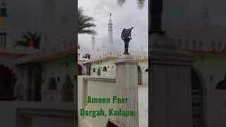 Hazrat Ameen Peer Dargah, Kadapa