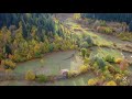 🍁p a p a r t🍁 papart şavşat meydancık mısırlıköyü artvin karadeniz drone mavic2zoom sonbahar fpv