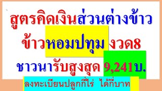 ข้าวหอมปทุม งวด8 ชาวนารับเงินส่วนต่าง สูงสุด 9,241 บาท ดูในคลิป