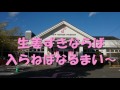 絶対楽しい佐野・栃木観光「イチゴ狩り・佐野ラーメン・厄除け大師・蔵の街遊覧船・新生姜ミュージアム」健啖隊ネット隊員（y.katsu