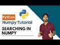 10. Searching in Numpy | CloudyML