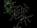 Boundary computations - lot retracement