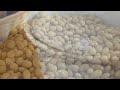 how to make homemade natto easy japanese fermented beans no special equipment