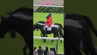 京都競馬場の誘導馬たちも頑張ってます！#京都競馬場