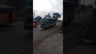 klakson tretetet Sugeng Rahayu Surabaya-Solo-Semarang#sugengrahayu#ATB#actarifbiasa